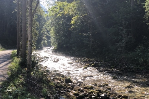 Scheffau - stezka lesem Mühlenrundweg
