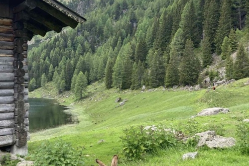 Rakouské Alpy v červnu